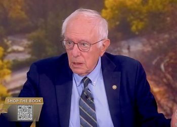 LIZ PEEK: AI layoffs could spark a socialist surge if America ignores the warning signs