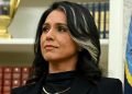 Gabbard ends task force that aimed to reform intelligence gathering after less than a year
